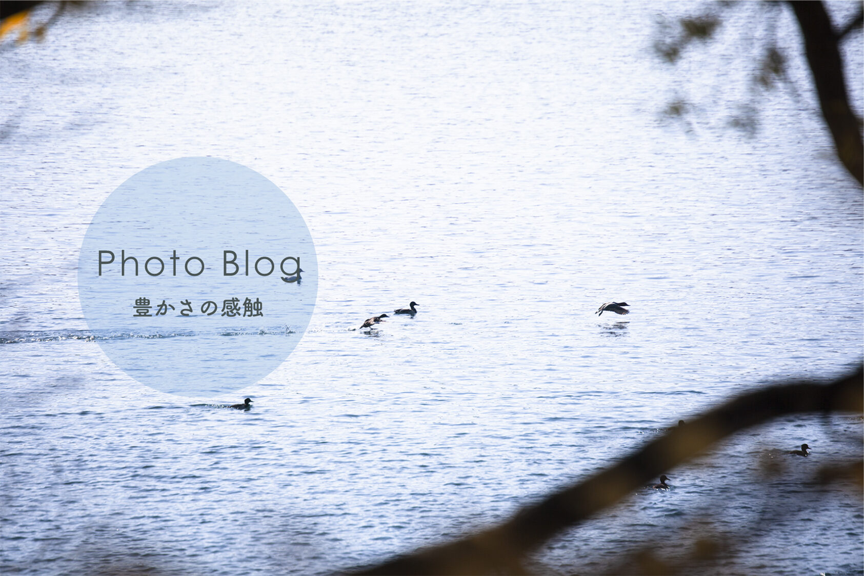 photoblogバナー