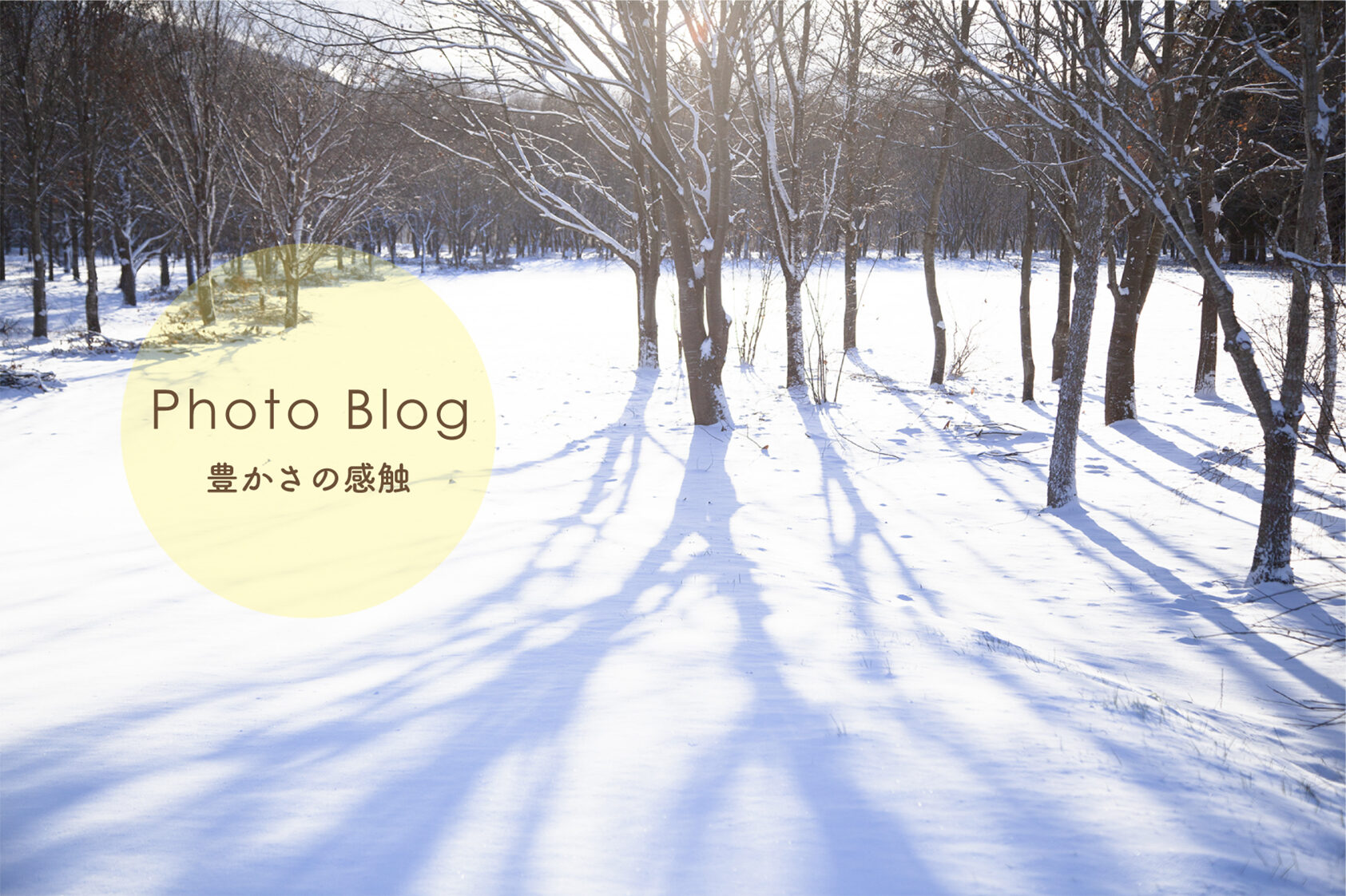 photoblogバナー photoblogバナー